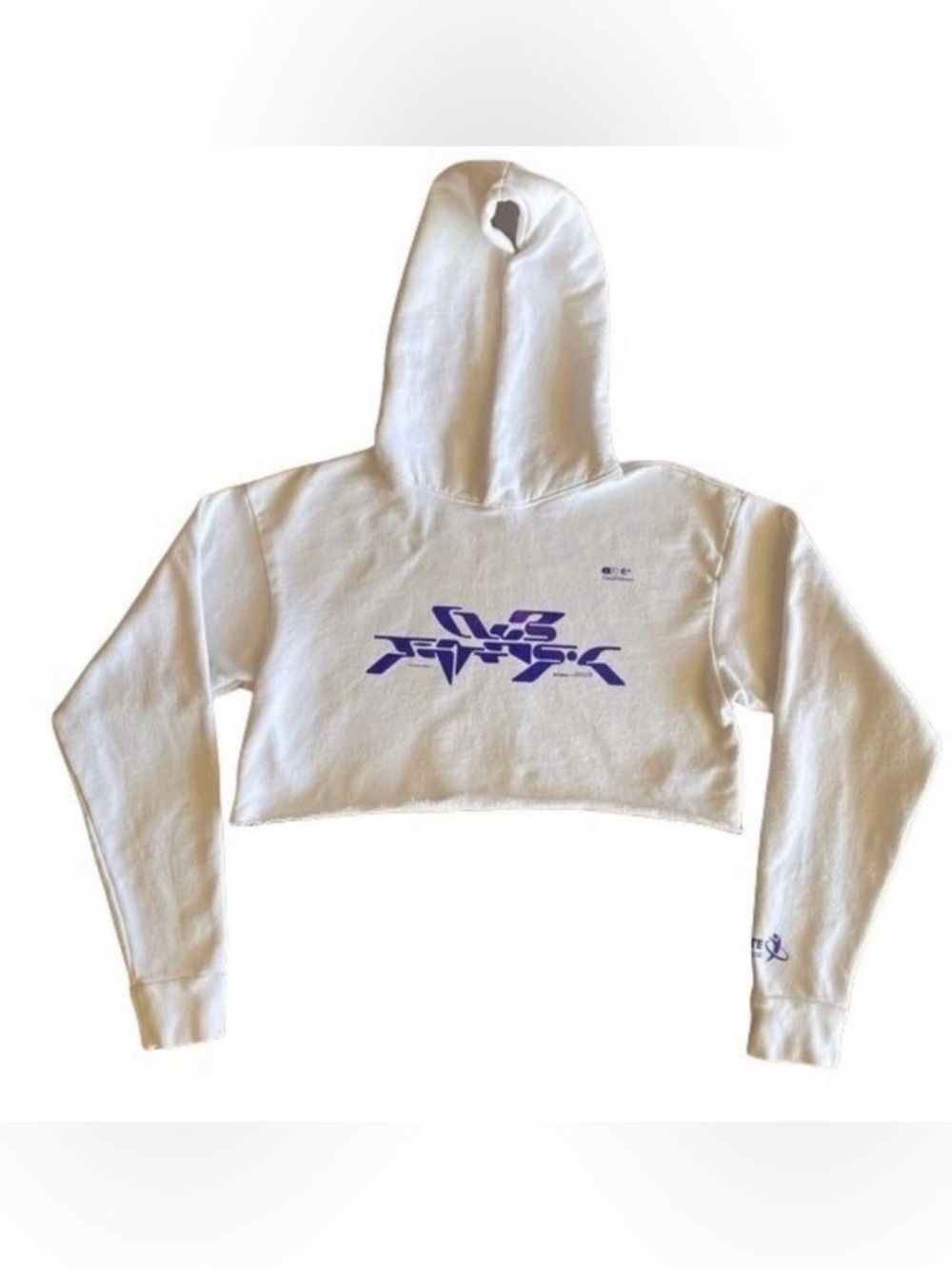 Club Fantasy "Cyber" Graphic Cropped Hoodie